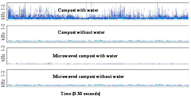 Fig 1 sonograms